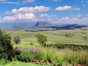 submit your blog post - 2 - Experience the Drakensberg view 1