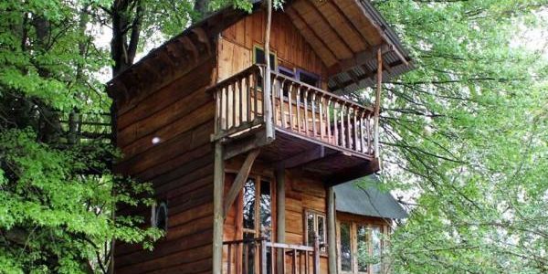 Tree house accommodation natal midlands
