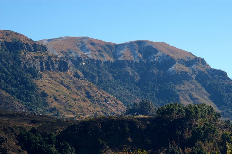 Hlathikulu Forest