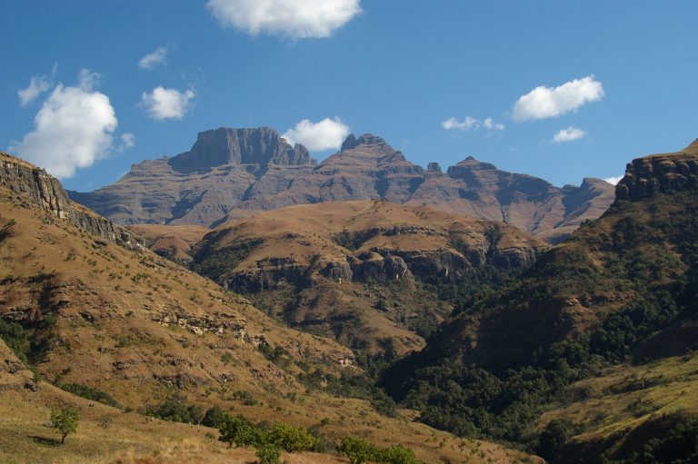 Hlathikulu Forest