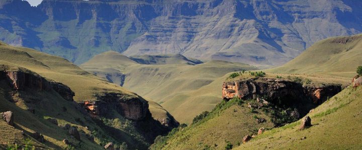 Berg View