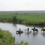 Drakensberg horse riding and horse trails - 6 - Experience the Drakensberg homepage river crossing1 Uncategorized